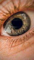 Macro photo of dark grey female eye looking straight into the camera. Close up of a young human iris and pupil.