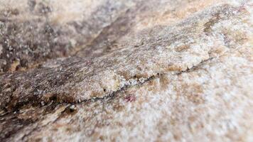 Nature textured backdrop. Abstract volumetric shape, stone texture with crack lines and focus close up. Marble-colored with macro photos of grains of sand. Warm shades of hard, cold rock