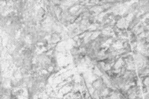 Halftone artistic overlay element. Black dots texture abstract background. vector