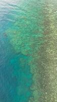 Aerial View of Coral Reef in Blue Sea photo