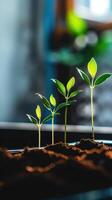 Business Growth Concept Background with Rising Graphs and Success Indicators photo