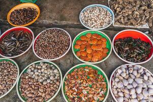 A variety of Fresh edible oysters, clams and scallops at the local market in Nha Trang, Vietnam. photo