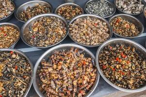 Fresh edible snails at a local market in Nha Trang, Vietnam. photo