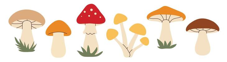 flat style mushrooms set vector