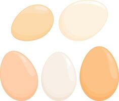 Chicken eggs in various shapes and colors. Boiled chicken, goose or duck eggs on white background. Bird, poultry fresh egg. vector