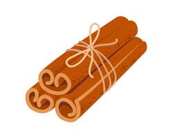 Bunch of cinnamon sticks tied with jute rope isolated on white background in flat style vector