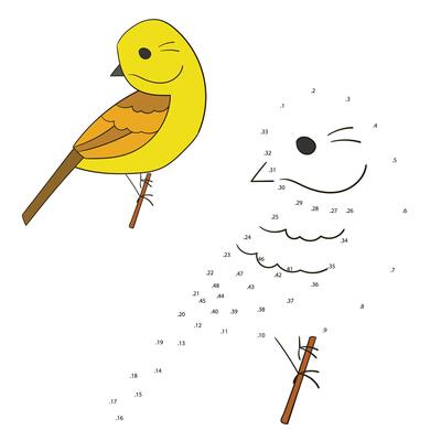 Connect the dots game yellowhammer bird cartoon doodle hand drawn illustration
