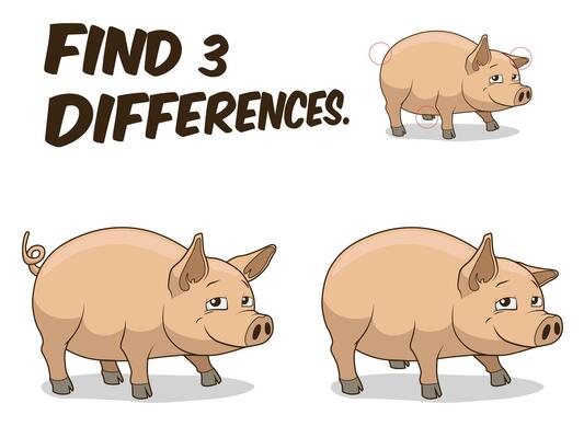 Find differences game pig cartoon colorful illustration