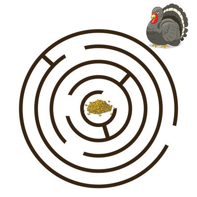 Game labyrinth find a way turkey cartoon colorful illustration