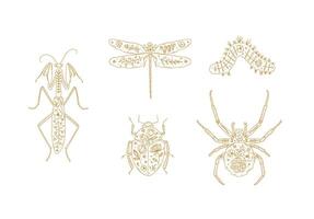 Beetles elements mantis, dragonfly, spider, caterpillar, insect drawing in floral style with beige on light background vector