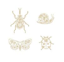 Beetles elements rhinoceros beetle, snail, moth, ladybug drawing in floral style with beige on light background vector