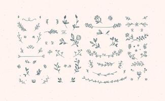 Elements flowers and branches to create label or sign in hand drawing style. Beige color background. vector