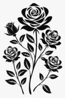 black and white roses on a white background vector