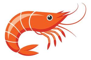 shrimp illustration isolated on white background vector