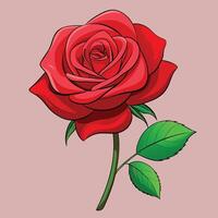 a red rose with green leaves on a pink background vector