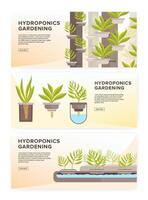 Set of horizontal web banners with plants growing in pots with mineral solution and place for text. Hydroponic gardening systems advertisement. Colored illustration in modern flat style. vector