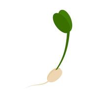 Sprouted grain, green sprout with leaves and radicle. Springtime design element in trendy minimalism. Isolated illustration Cards, poster, leaflets, banners or web, cards, booklets, media post vector