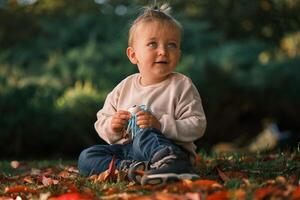 A happy child playing with a toy in the autumn park while sitting on the grass and fallen leaves. photo