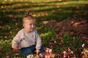 A happy toddler child sitting on the grass in the autumn park. photo