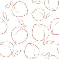 Peach or apricot seamless pattern in line art style. Summer tropical design for label, wallpaper, packaging. illustration on a white background. vector