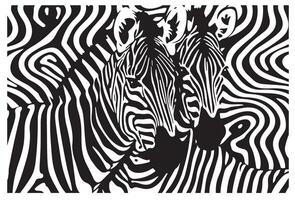 Two zebras are in a black and white pattern vector