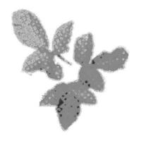 Autumn leaf collage element with dotted halftone effect. Grunge y2k fall isolated clipart. Retro vintage illustration on transparent background vector