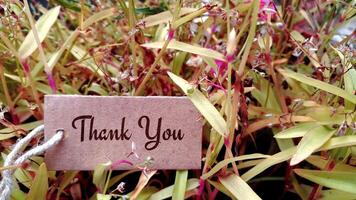 thank you sign on natural grass and flower background, thank you tag, thank you label with green grasses background photo