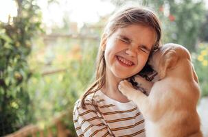 Close-up portrait of a little girl hugging a puppy. A cute small kid is playing with a dog photo
