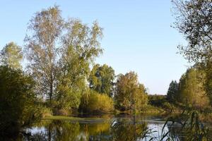 Autumn landscape of a blue lake and yellowing trees. Yellow-green trees by the river in the morning. photo