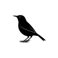 Black bird silhouette on white background vector