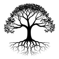 A black and white tree with roots vector