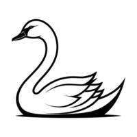 A black and white swan on a white background vector