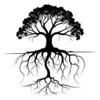 Tree with roots illustration vector