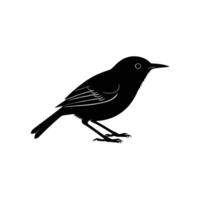 Black bird silhouette on white background vector