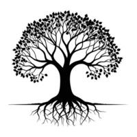 A black and white silhouette of a tree with roots vector