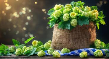 Harvested green hop cones in a linen sack on a rustic wooden table surface. Oktoberfest beer concept. Brewery product background. photo