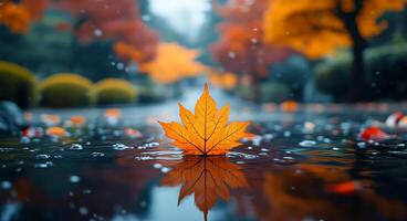 A leaf is floating on the surface of a pond. The leaf is orange and is the only thing visible in the image. The pond is surrounded by trees and bushes, and the water is calm photo