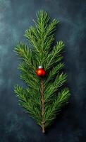 A Christmas tree with a red ornament on it. The tree is surrounded by a dark background. The red ornament is the focal point of the image photo