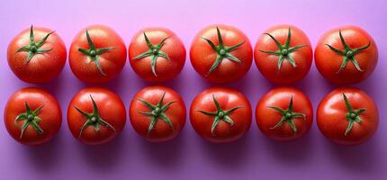 A row of red tomatoes are arranged in a line. Concept of abundance and freshness, as the tomatoes are ripe and ready to be eaten. The purple background adds a touch of color photo
