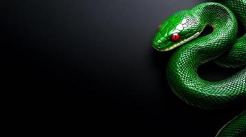 A green snake with red eyes is on a black background. The snake is made of plastic and he is a toy photo