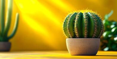 A cactus is sitting in a white pot on a yellow background. The cactus is surrounded by two other cacti, one of which is taller than the other. Concept of warmth and comfort photo