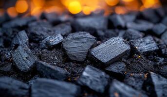 A pile of black rocks, which appear to be coal. The rocks are scattered and piled up, creating a sense of depth and texture. Scene is somewhat somber and heavy photo