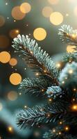 Frosted evergreen tree branch with festive lights. A close-up of a frosted evergreen branch adorned with warm festive lights, creating a cozy winter atmosphere. photo