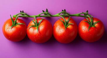 Four red tomatoes are lined up on a purple background. The tomatoes are shiny and appear to be freshly picked. Concept of freshness and abundance, as well as the idea of a healthy and nutritious meal photo