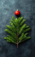A Christmas tree made of green branches and a red ball on top. The tree is surrounded by a black background photo