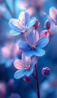 A close up of a blue flower with a pink center. The flower is surrounded by a blue background photo