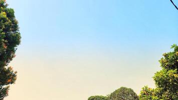 view above the sky with beautiful clouds framed by shady trees photo