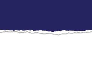 Torn Paper Edge Overlay with white Background vector