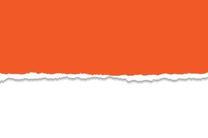 Orange Torn Paper Edge with White Background vector