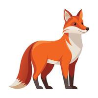 Fox Illustration on White Background vector